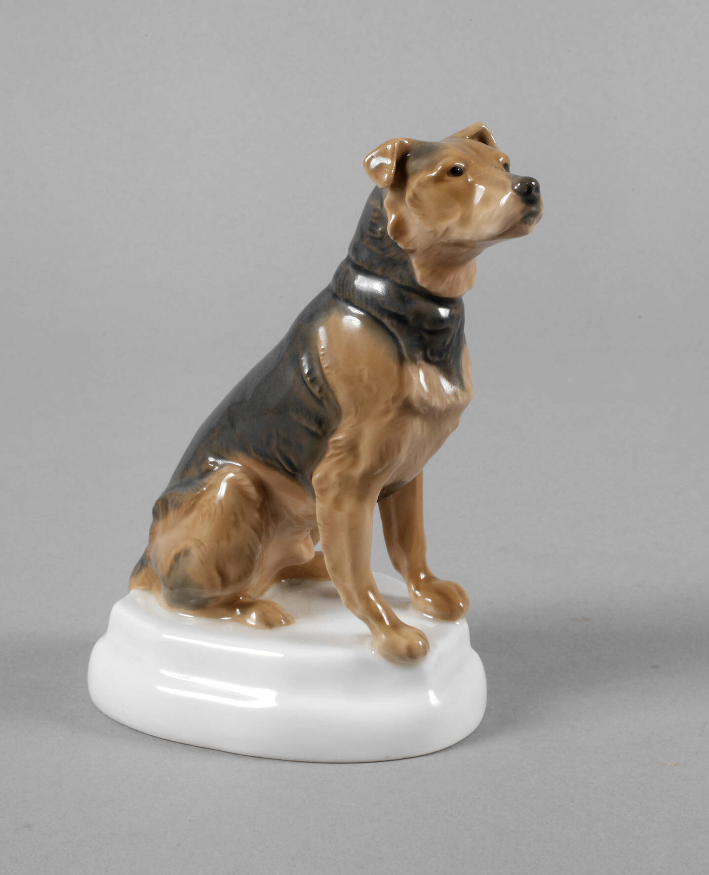 Meissen "Airedaleterrier"