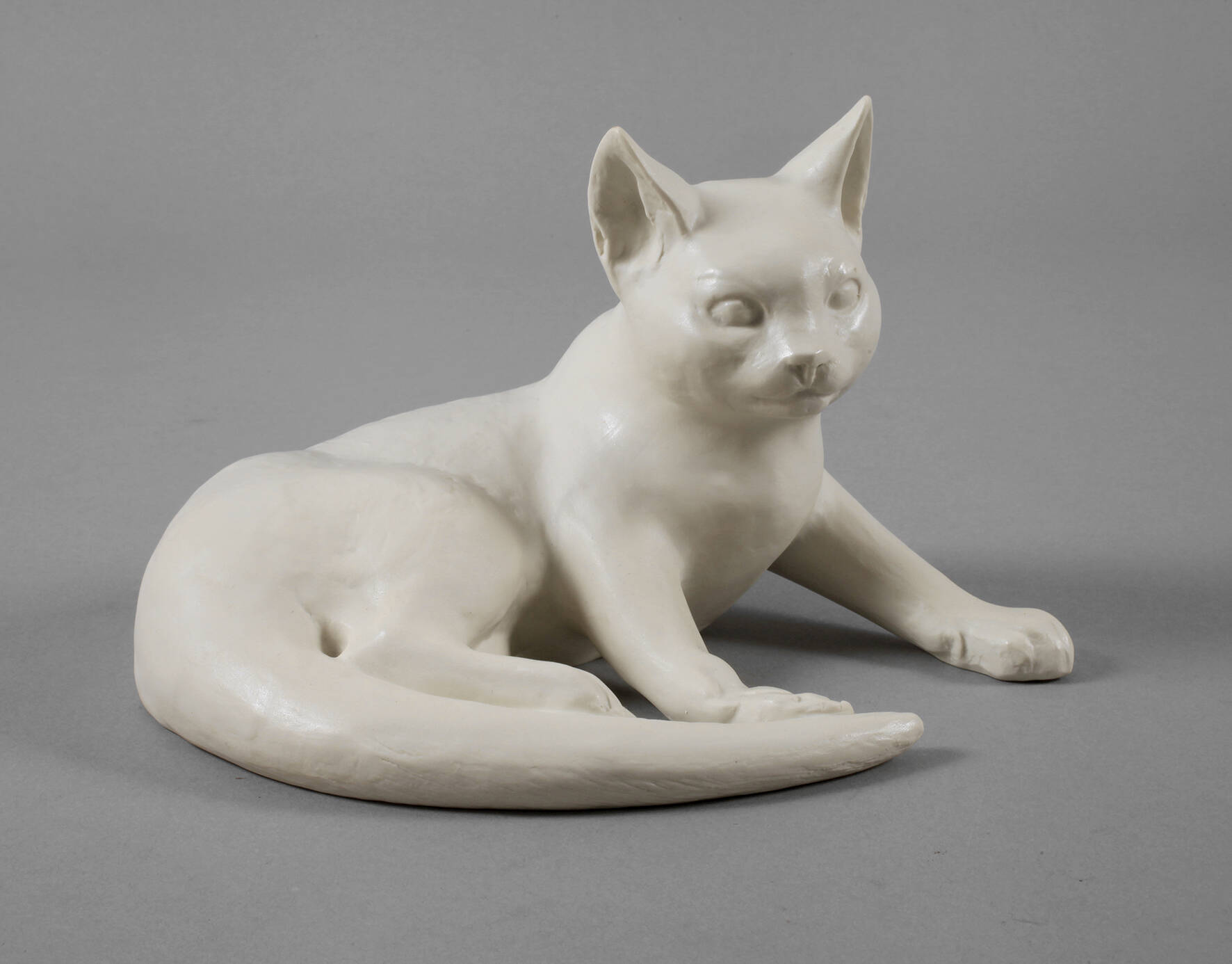 Rosenthal Katze