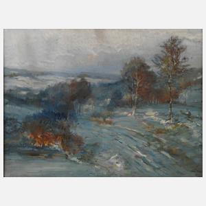 Max Ostrý, Winterlandschaft