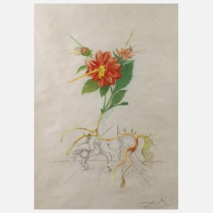 Salvador Dali, attr., "Dahlia Unicornis"