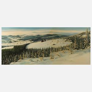 Zelinka, Weite Winterlandschaft