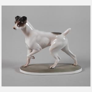 Rosenthal "Foxterrier"