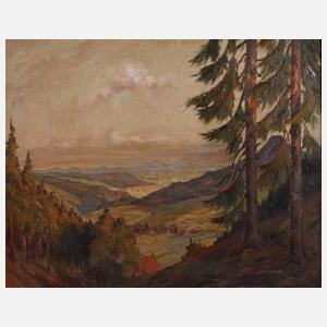 J. Stein, Sommerliche Gebirgslandschaft