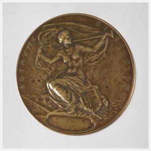 Bronzemedaille zur Weltausstellung Lüttich 1905