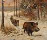 Willy Lorenz, Wildschweinrotte im Winterwald