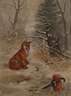 Fuchs im Schnee