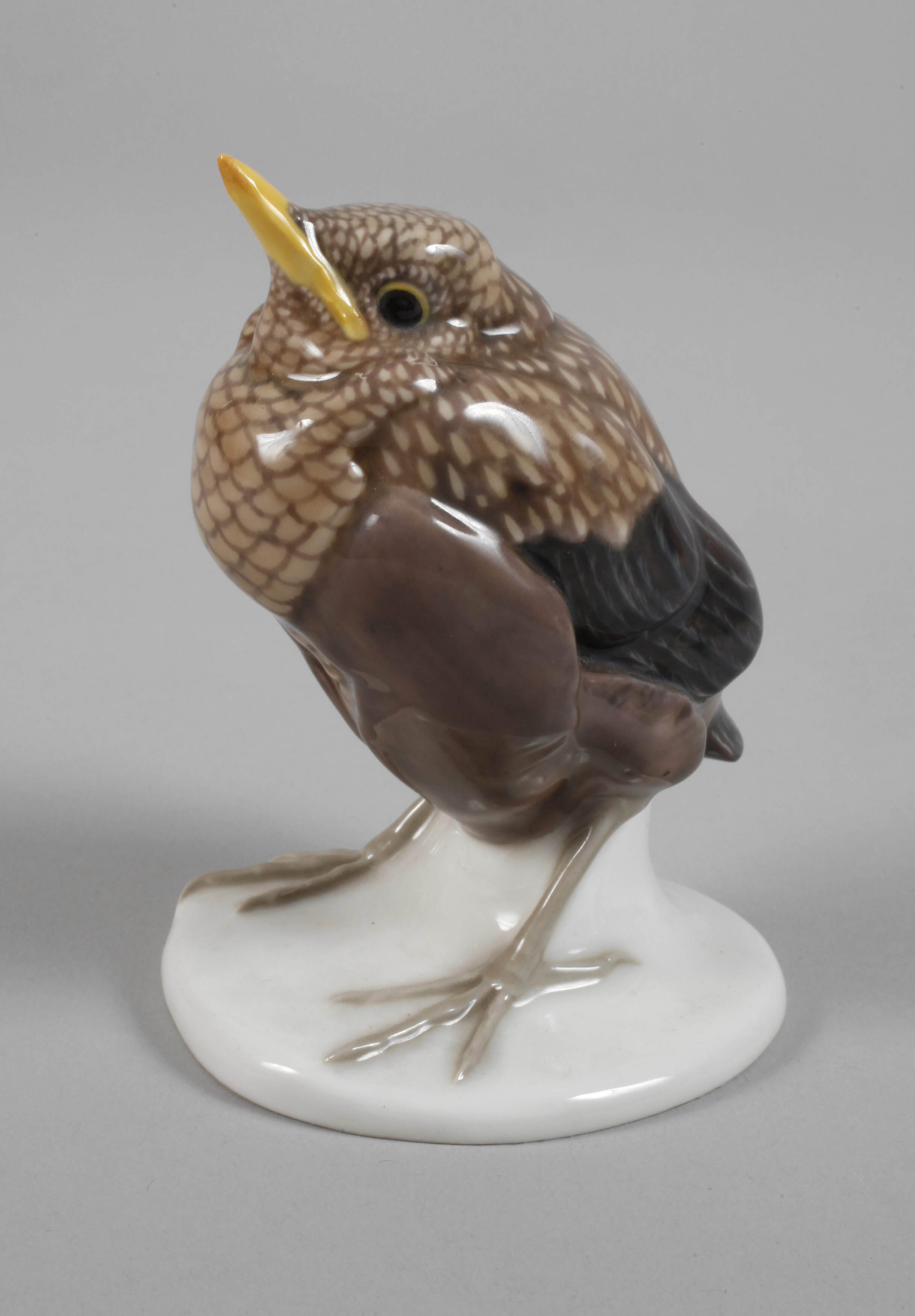 Meissen "Junge Amsel"