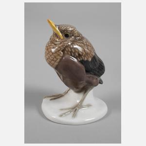 Meissen "Junge Amsel"