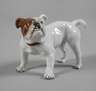 Meissen "Bulldogge"