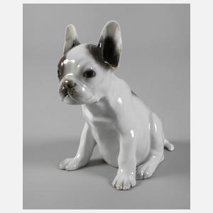 Rosenthal "Französische Bulldogge"