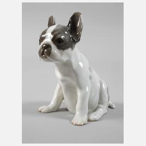 Rosenthal "Französische Bulldogge"