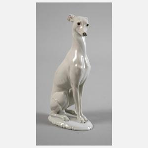 Rosenthal Windhund