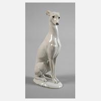 Rosenthal Windhund111