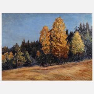 Albin Schlehahn, Herbstlicher Waldrand