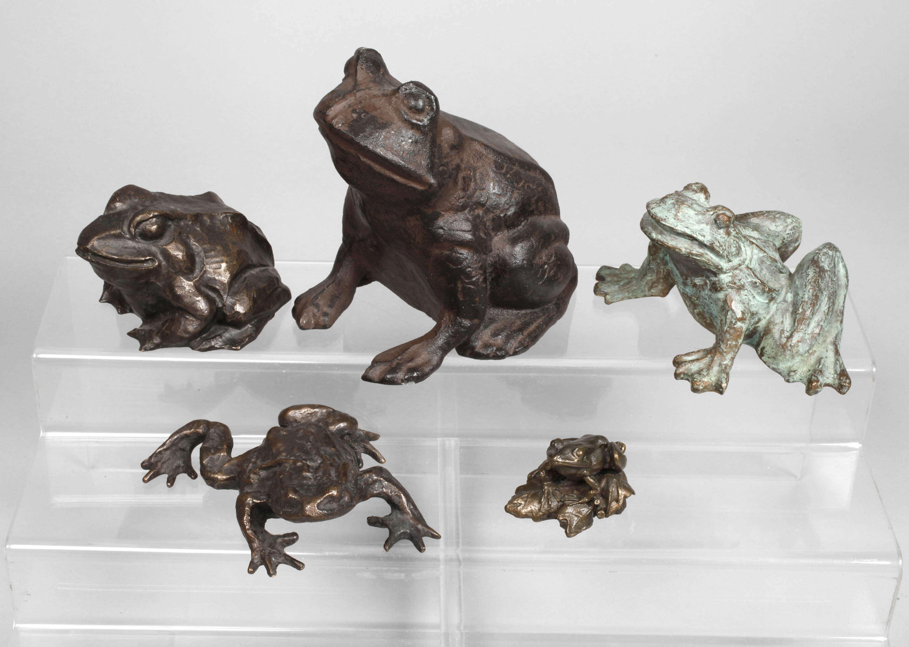 Kleine Froschsammlung