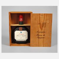 Flasche Armagnac111