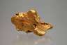 Großes Gold-Nugget