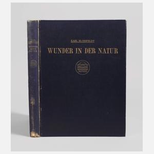 Wunder in der Natur