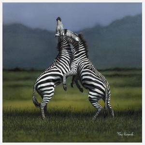 Tony Karpinski, Kämpfende Zebras