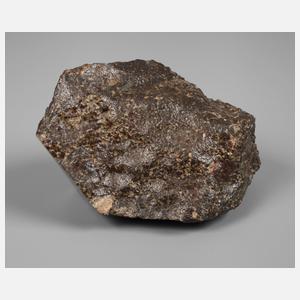 Steinmeteorit NWA 1499/Sahara