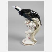 Meissen "Paradiesvogel"111