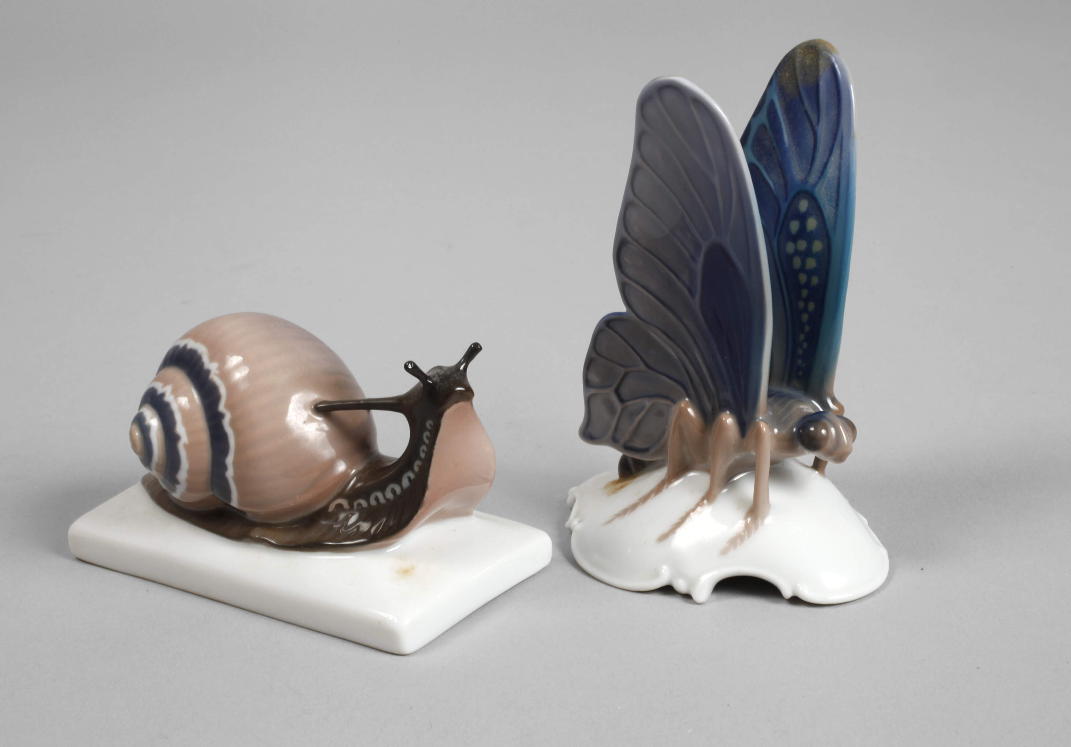 Rosenthal Schnecke und Schmetterling