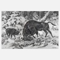 Erich Dichtl, "Wisent im Kampf mit Luchs"111