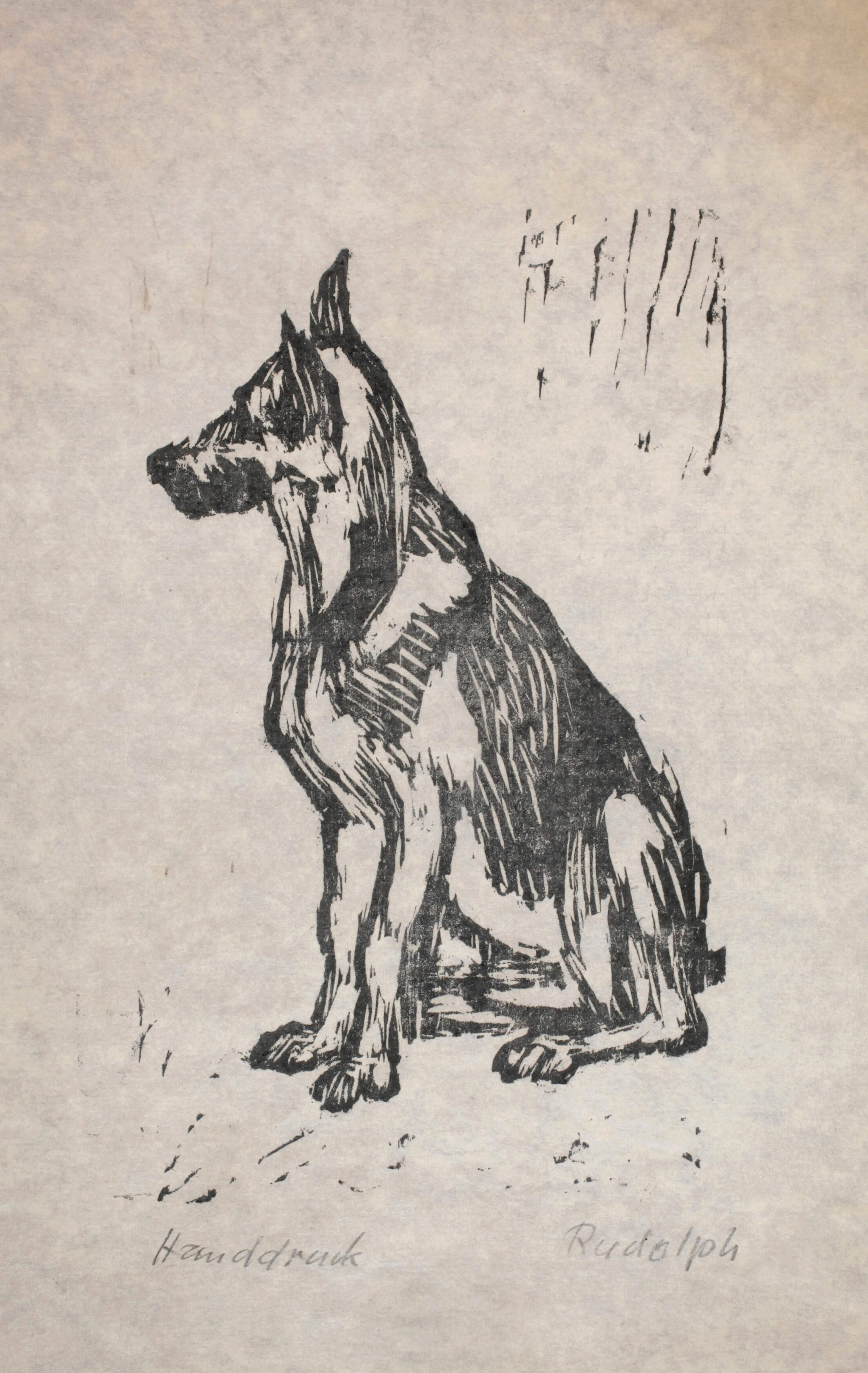 Wilhelm Rudolph, Sitzender Schäferhund