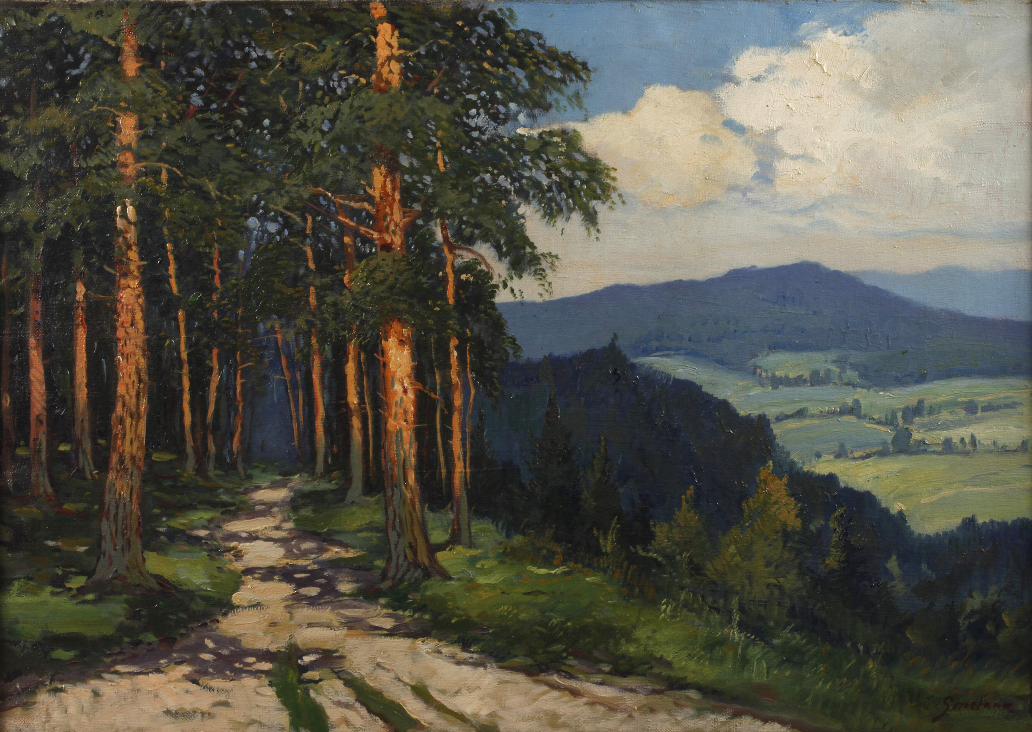 Smetana, Sommerliche Mittelgebirgslandschaft