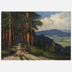 Smetana, Sommerliche Mittelgebirgslandschaft