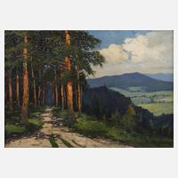 Smetana, Sommerliche Mittelgebirgslandschaft111