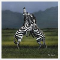 Tony Karpinski, Kämpfende Zebras111