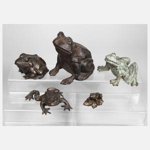 Kleine Froschsammlung