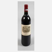 Flasche Rotwein111