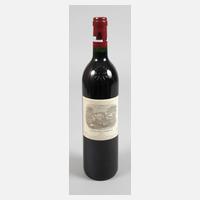 Flasche Rotwein111