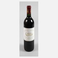 Flasche Rotwein111