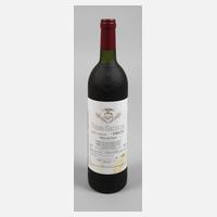 Flasche Rotwein111