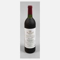 Flasche Rotwein111