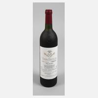 Flasche Rotwein111