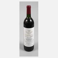 Flasche Rotwein111