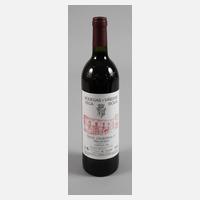 Flasche Rotwein111