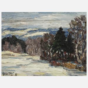 Fredo Bley, Winter im Vogtland