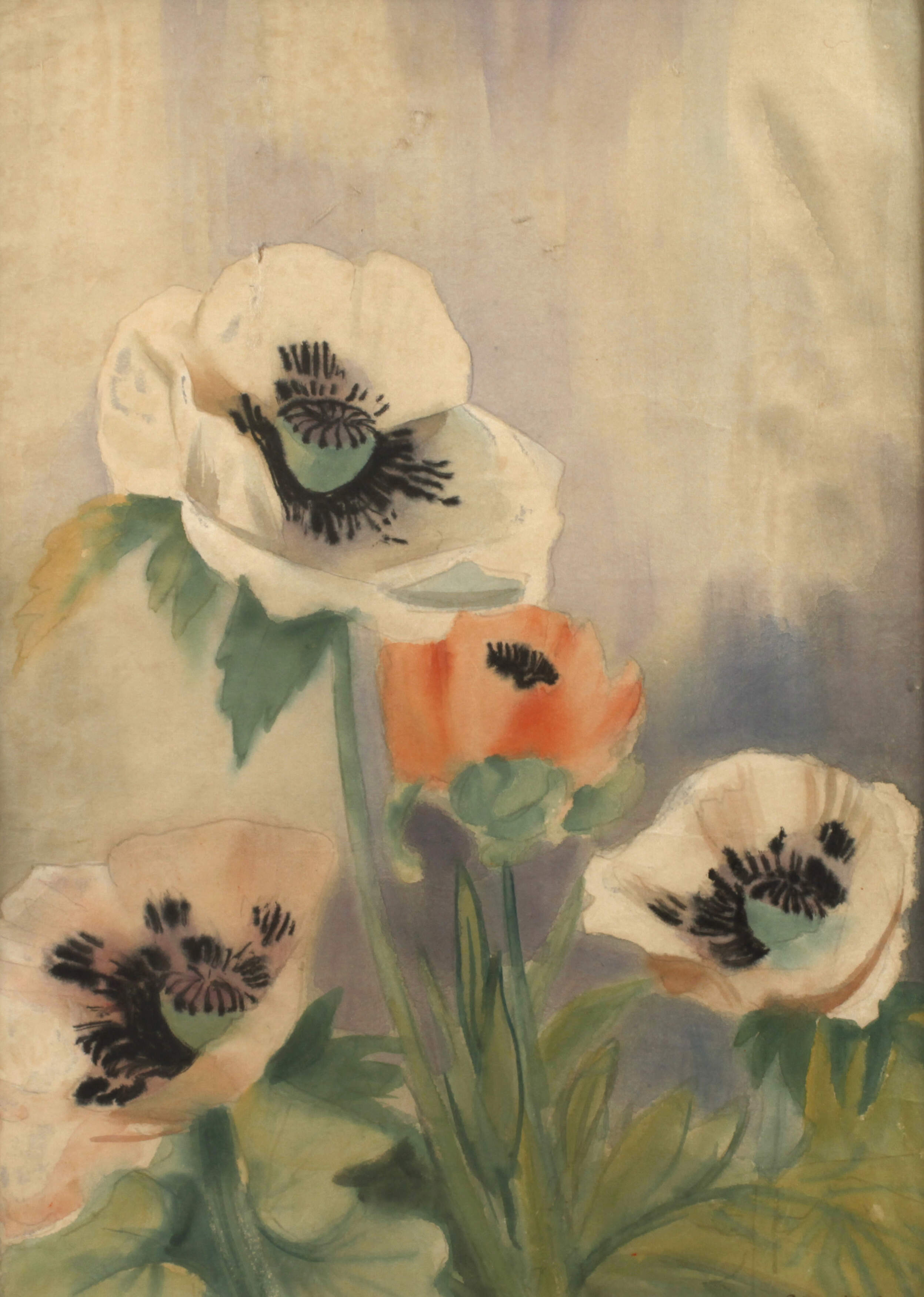 Paul Wilhelm, Mohnblüten