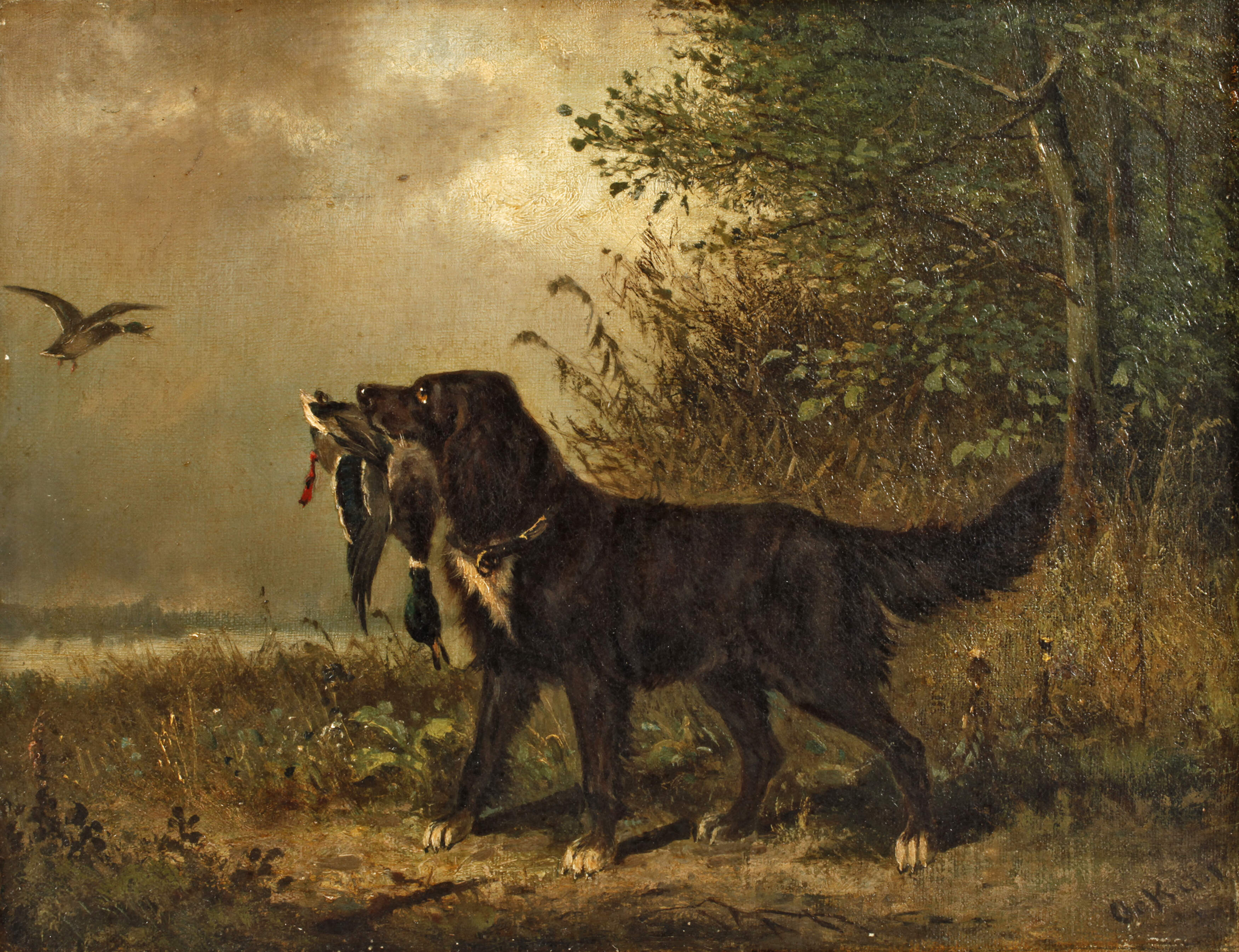 Carl Friedrich Ockert, Apportierender Jagdhund