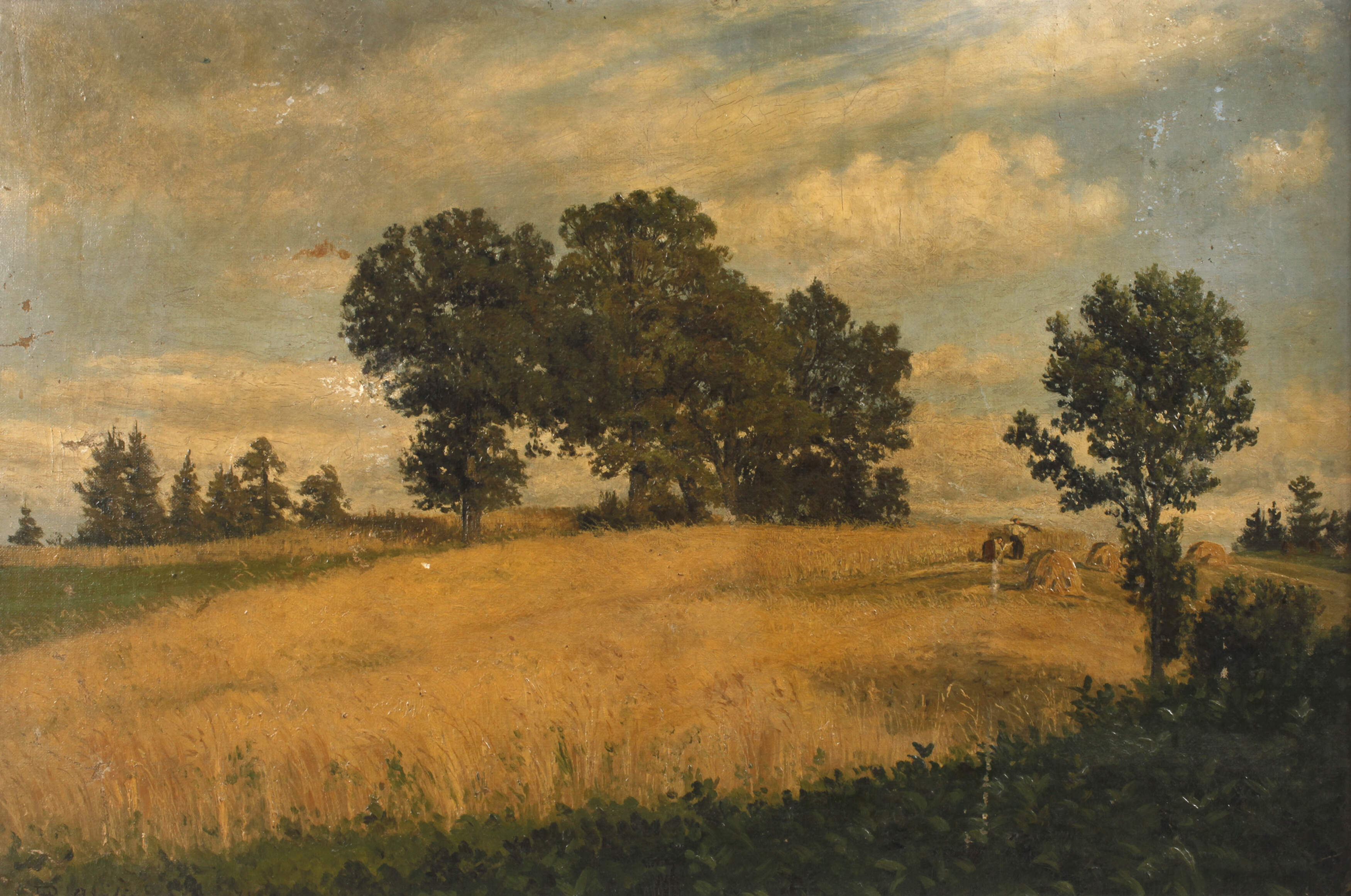 Heinrich Rasch, Feld bei Gräfing