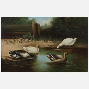 B. Günter, Enten am Teich