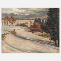 Eugen Franz Renwart, Winterlandschaft111