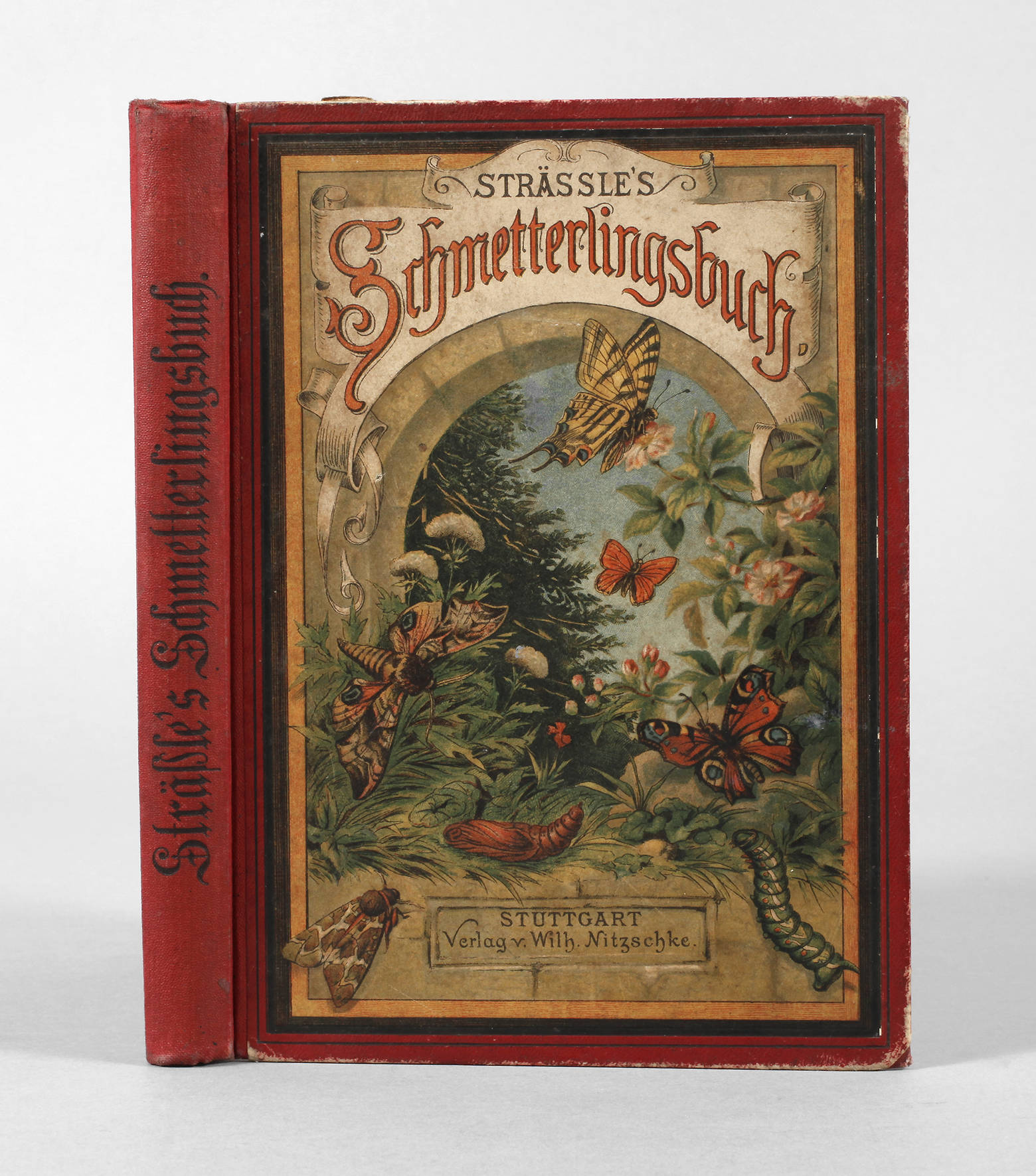Franz Sträßles Schmetterlingsbuch